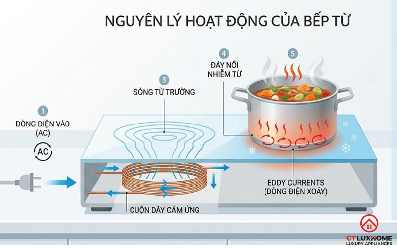 NÊN MUA BẾP TỪ ĐÔI GIA ĐÌNH HÃNG NÀO NĂM 2026? MUA Ở ĐÂU UY TÍN? 2