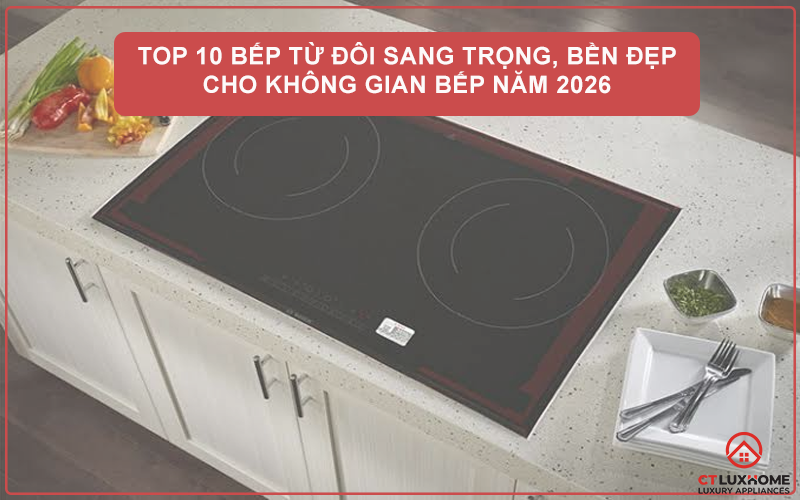 TOP 10 BẾP TỪ ĐÔI SANG TRỌNG, BỀN ĐẸP CHO KHÔNG GIAN BẾP NĂM 2025