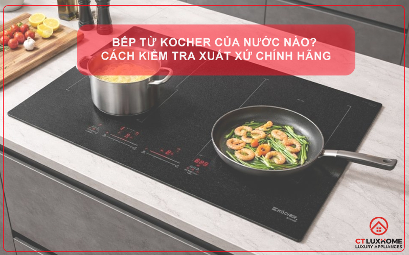 BẾP TỪ KOCHER CỦA NƯỚC NÀO? CÁCH KIỂM TRA XUẤT XỨ CHÍNH HÃNG