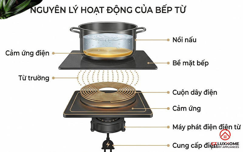 Bếp từ Kocher dùng nồi gì? Hướng dẫn chọn nồi chuẩn để tránh lỗi E0  2