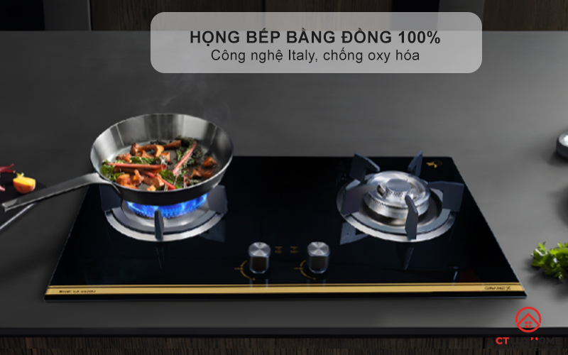 BẾP GA ÂM 2 VÙNG NẤU GRANDX GX GS299D GXGS299D 6