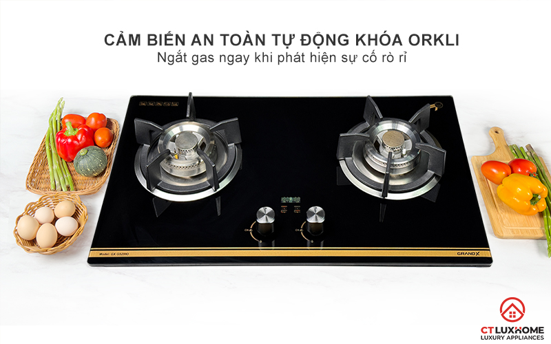 BẾP GA ÂM 2 VÙNG NẤU GRANDX GX GS299D GXGS299D 8
