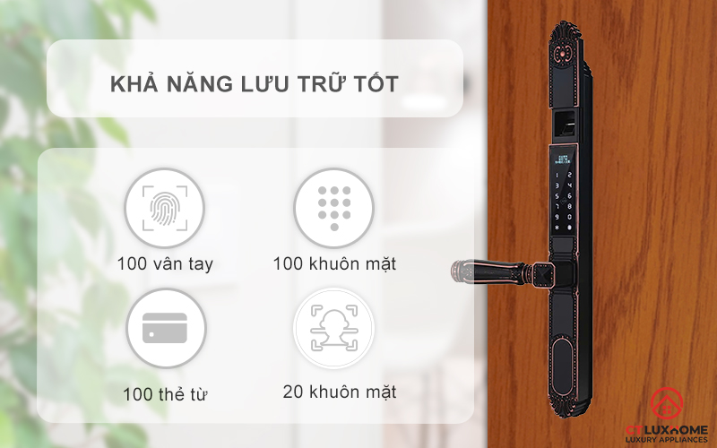 KHÓA CỬA NHÔM AVOLOCK AN 391 NHẬN DIỆN VÂN TAY CỔ ĐIỂN AN391 10