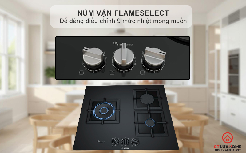 Núm vặn FlameSelect dễ dàng điều chỉnh 9 mức nhiệt mong muốn
