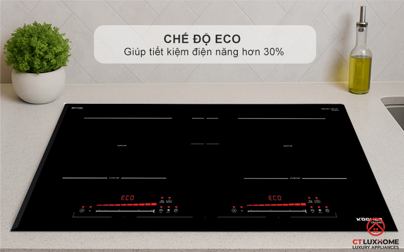 BẾP TỪ 2 VÙNG NẤU KOCHER DI-333SE DI333SE 8