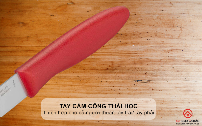 Tay cầm công thái học