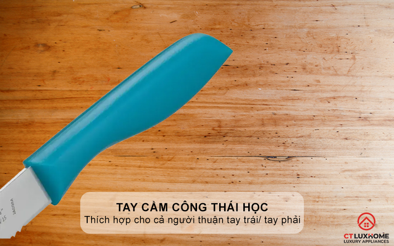 Tay cầm công thái học