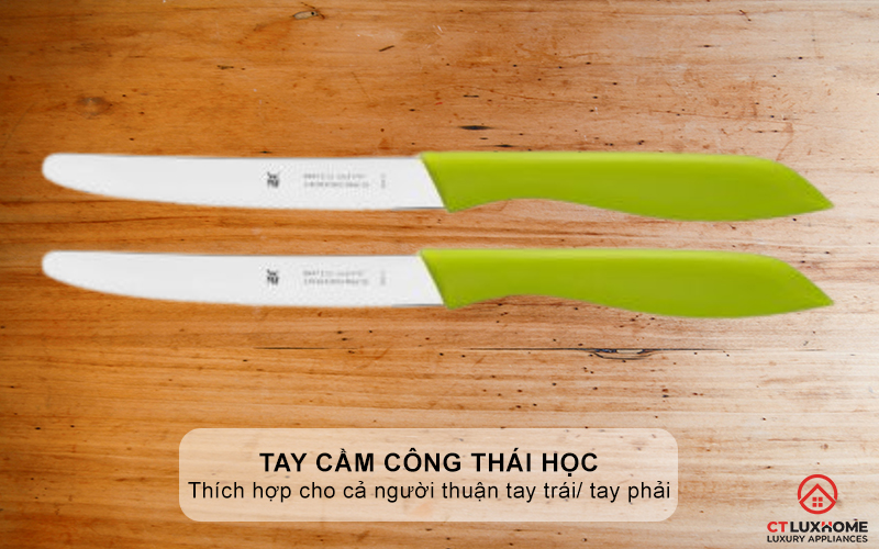 Tay cầm công thái học