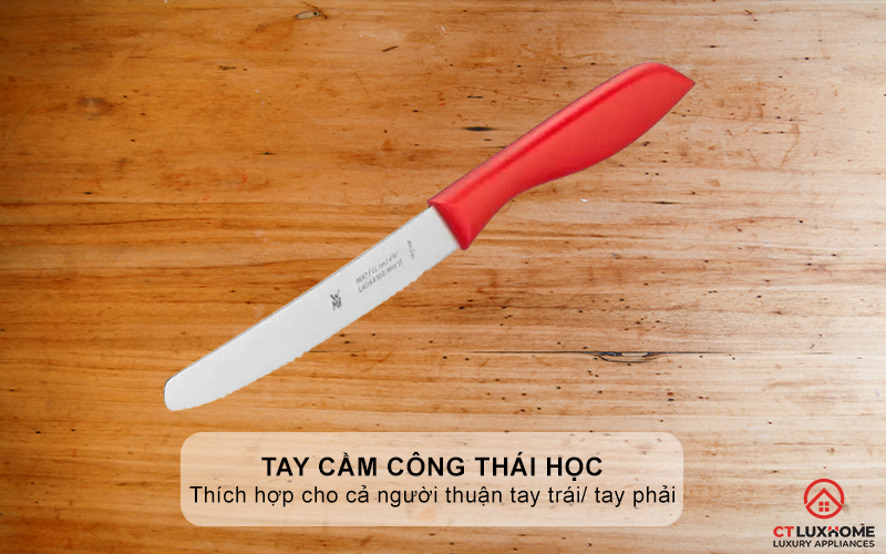 Tay cầm công thái học