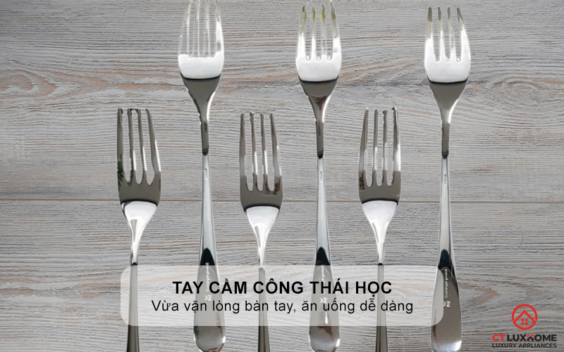 Tay cầm công thái học vừa vặn lòng bàn tay, ăn uống dễ dàng