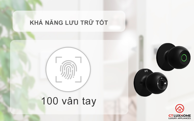 Lưu trữ thông tin lớn, quản lý người dùng dễ dàng