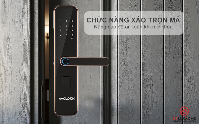 Thiết kế hiện đại, sang trọng, tinh tế