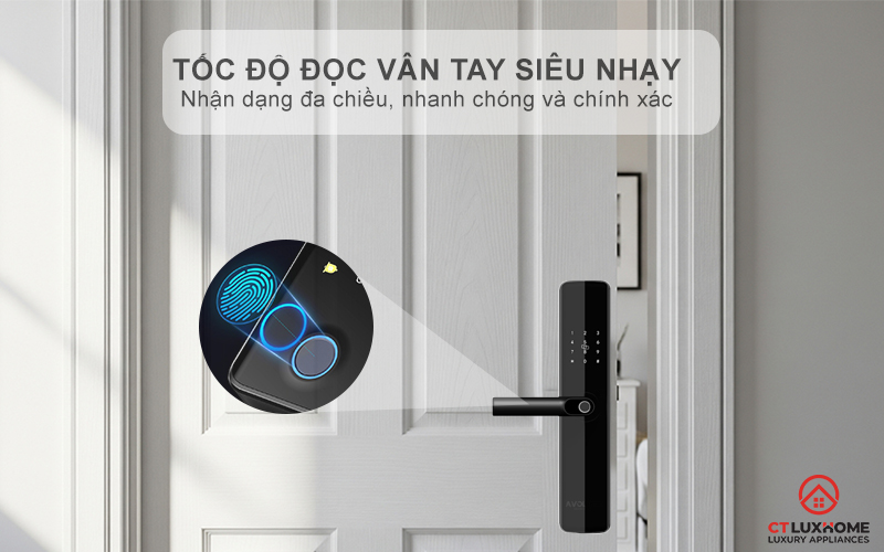 Thiết kế hiện đại, sang trọng, tinh tế