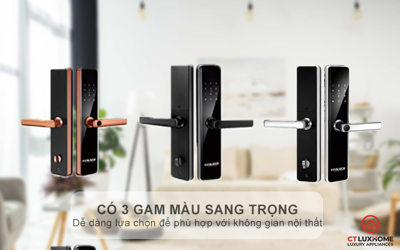 Có 3 gam màu thoải mái lựa chọn
