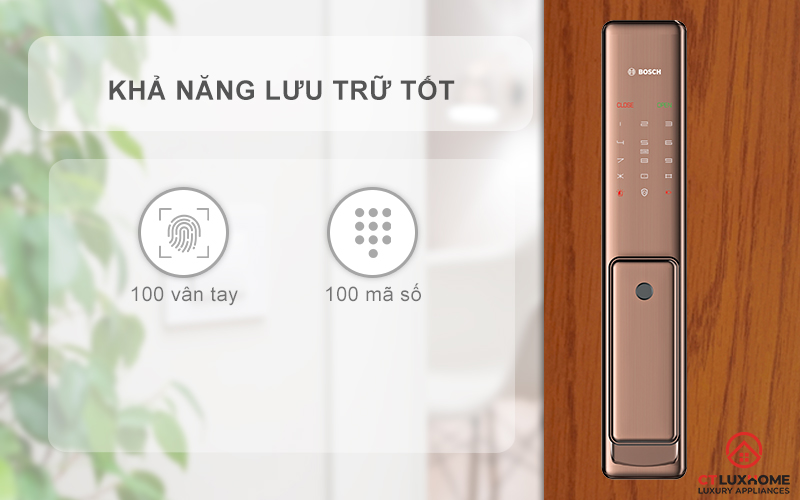 lưu trữ