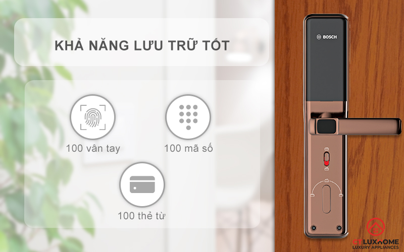 Khả năng lưu trữ thông tin tốt