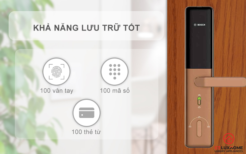 Khả năng lưu trữ thông tin tốt