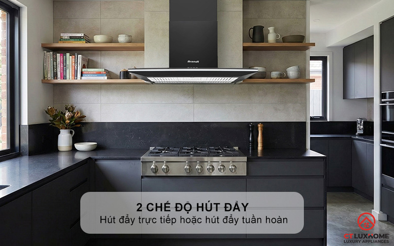 Có thể sử dụng được 2 chế độ hút đẩy trực tiếp hoặc hút đẩy tuần hoàn