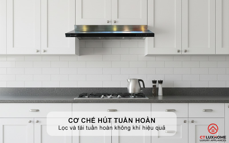 Cơ chế hút tuần hoàn