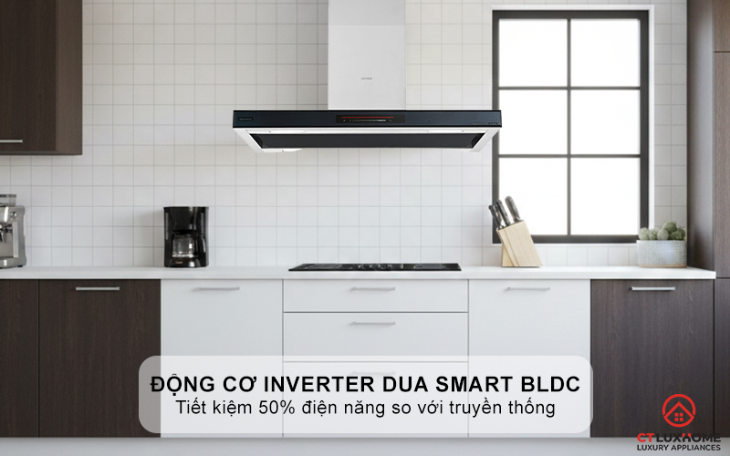 Động cơ Inverter dua smart BLDC 75W